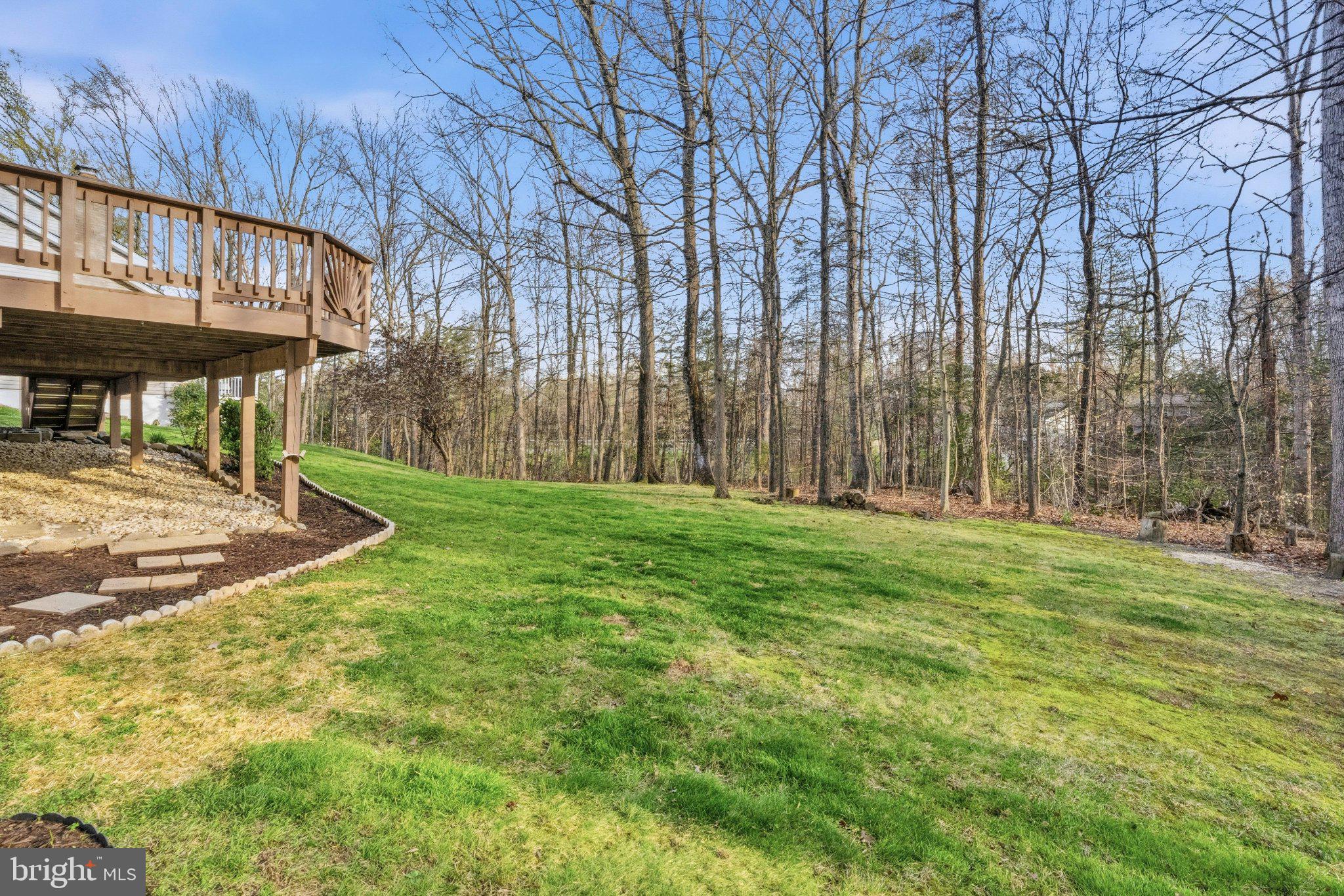 7118 Counter Place Burke, VA 22015 - Photo 47 of 53 Serene backyard with lush greenery.