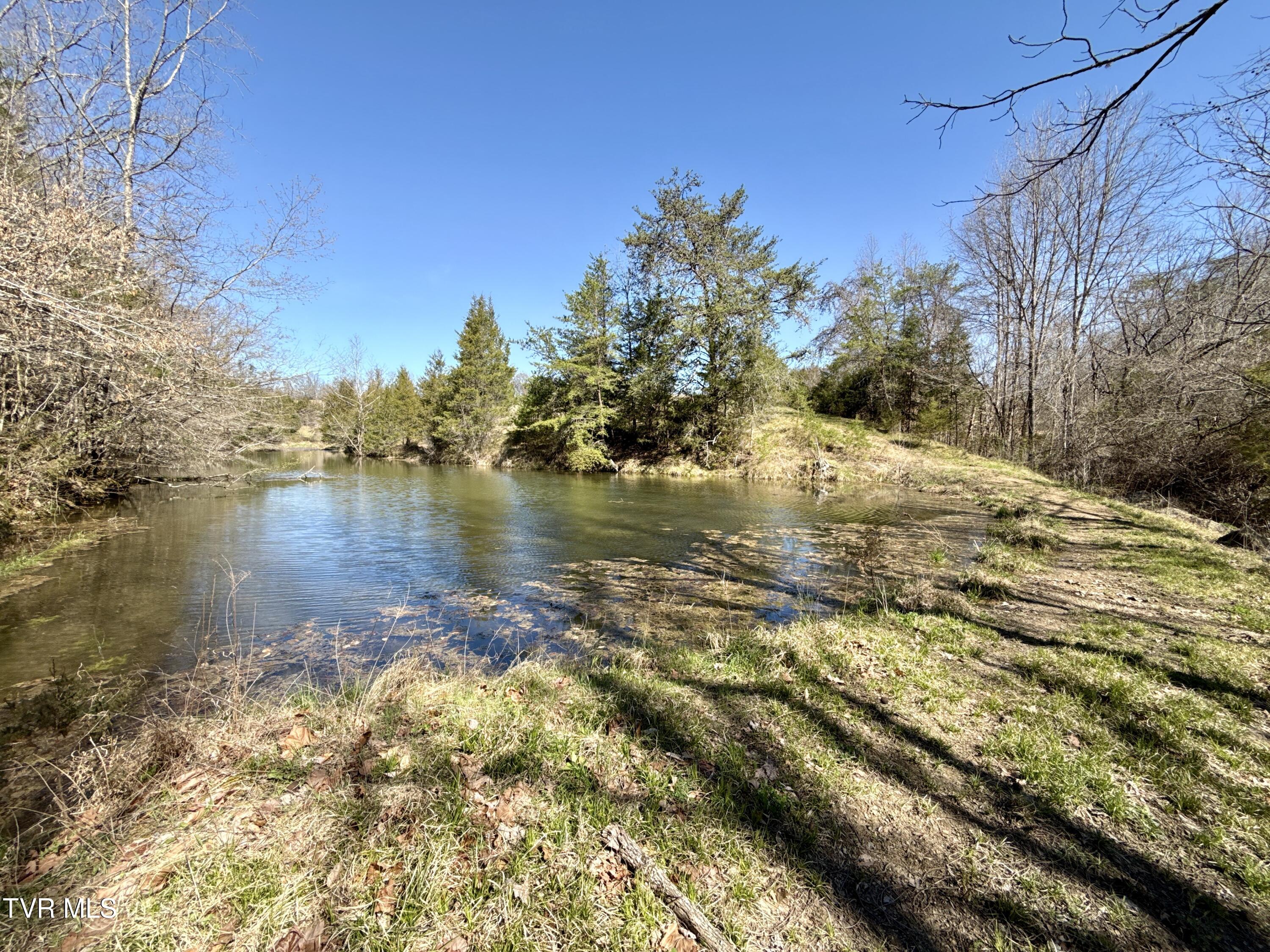 12315 Warrensburg Road Midway, TN 37809 - Photo 87 of 106 _Pic86
