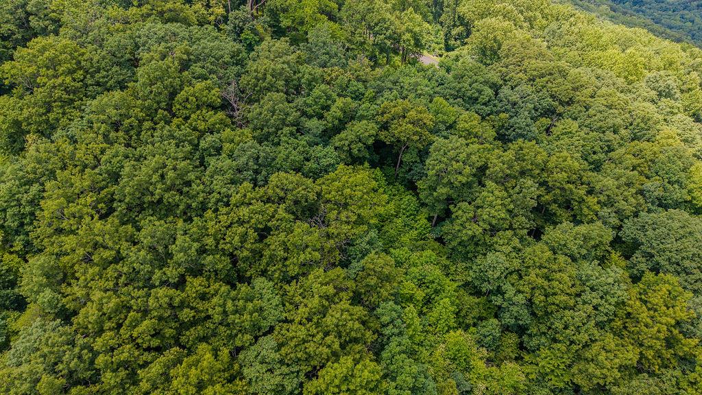 274 Andes Ridge Morganton, GA 30560 - Photo 22 of 24