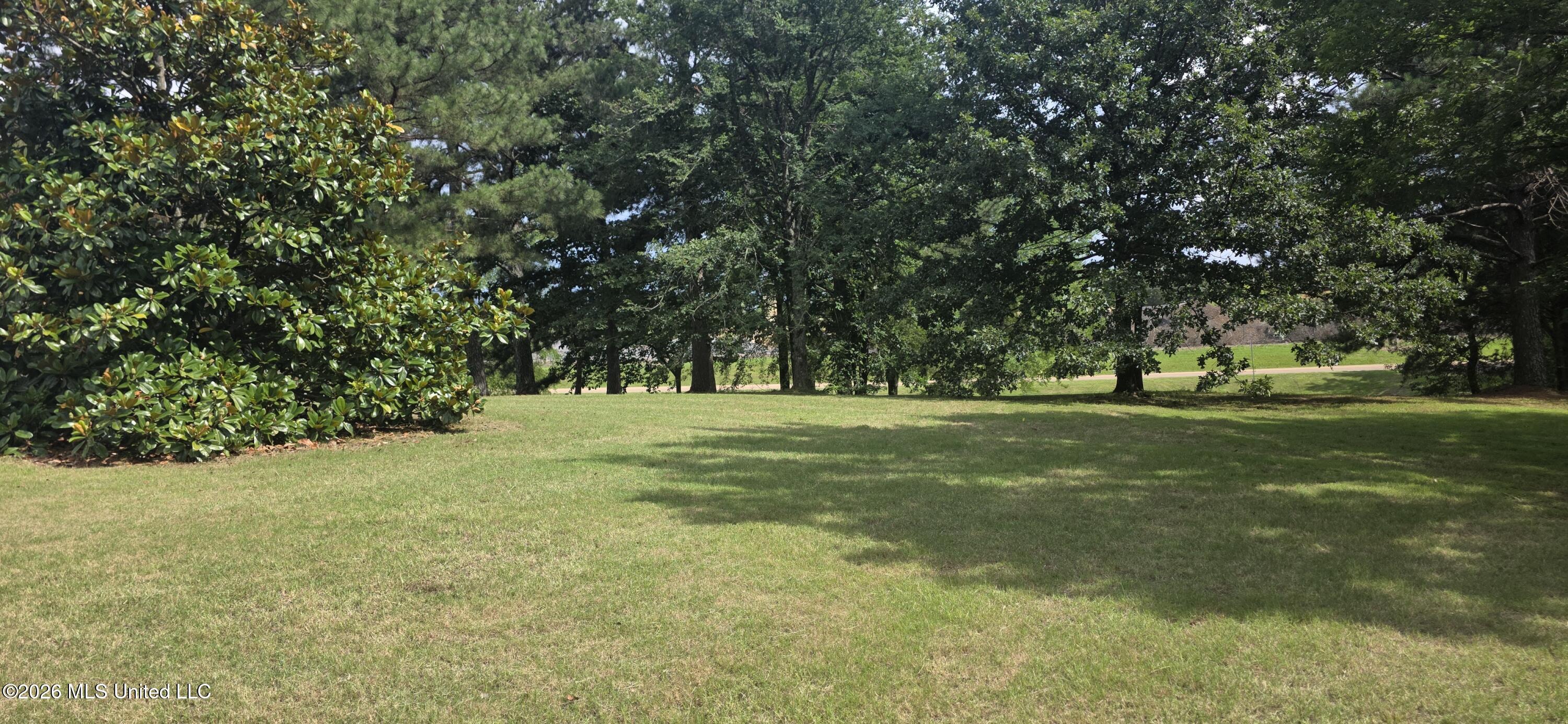 180 Stonewall Road Byhalia, MS 38611 - Photo 46 of 73 20260613_155331