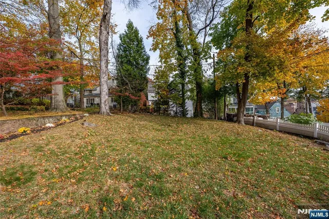 a view of a yard with a tree