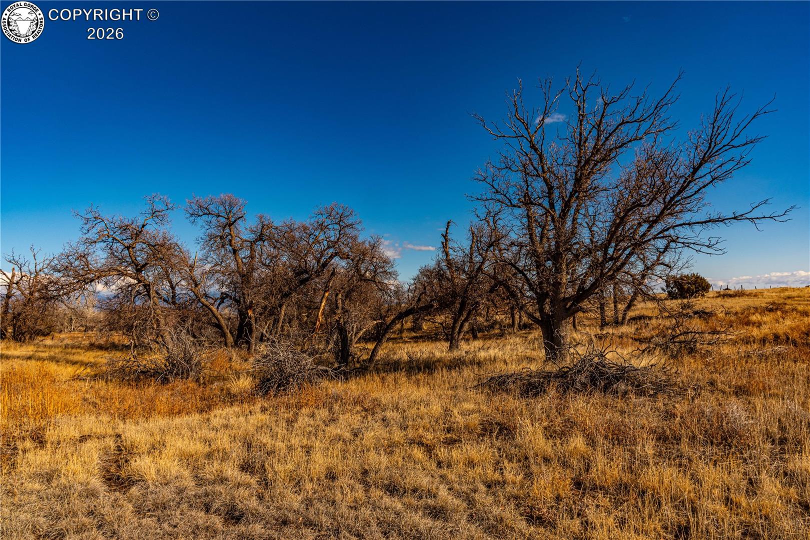 106 County Road 106 Rye, CO 81069 - Photo 9 of 35 Gallery Image 9