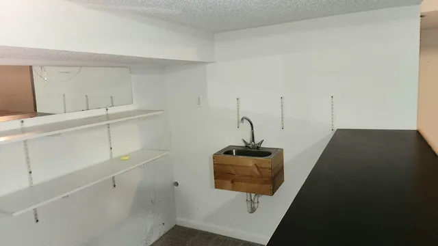 $595,000 | 1660 Pond Shore Drive, Ann Arbor, MI 48108