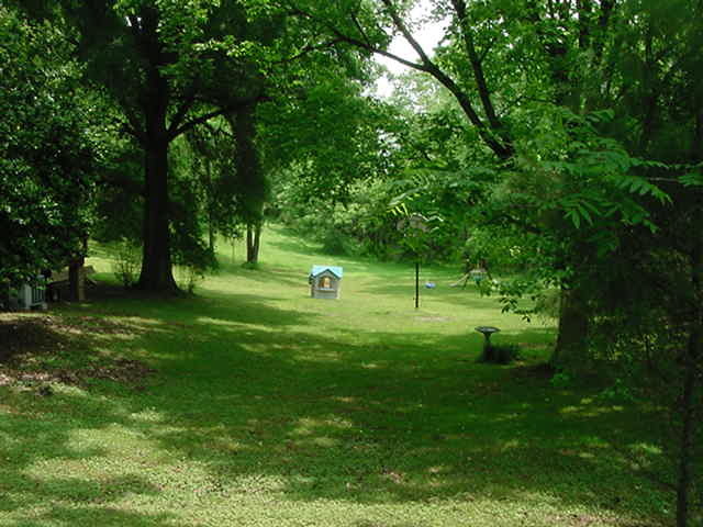 826 Schmitt Road Rossville, GA 30741 - Photo 3 of 6 Additional Photo