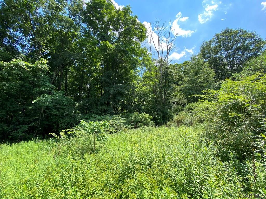 School Street, Unit 2 2 Cairnbrook, PA 15924 - Photo 3 of 11