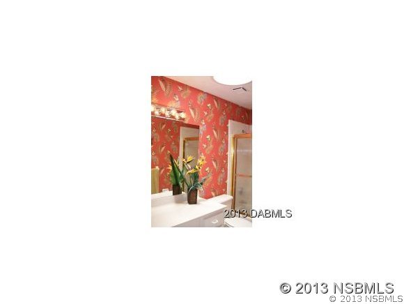 80 Calumet Avenue Ponce Inlet, FL 32127 - Photo 23 of 24 Gallery Image 23