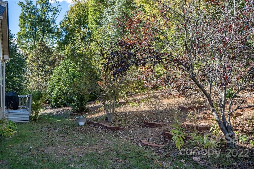 225 Fischer Road Fort Mill, SC 29715 - Photo 32 of 32 a view of a tree in the middle of a yard