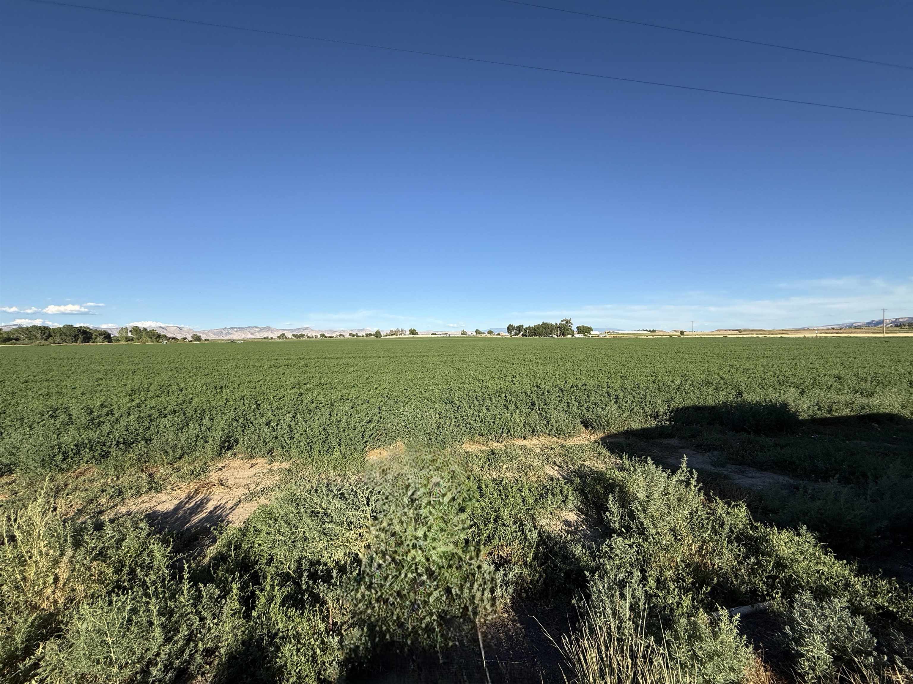 1402 O Road Loma, CO 81524 - Photo 12 of 15 Gallery Image 12