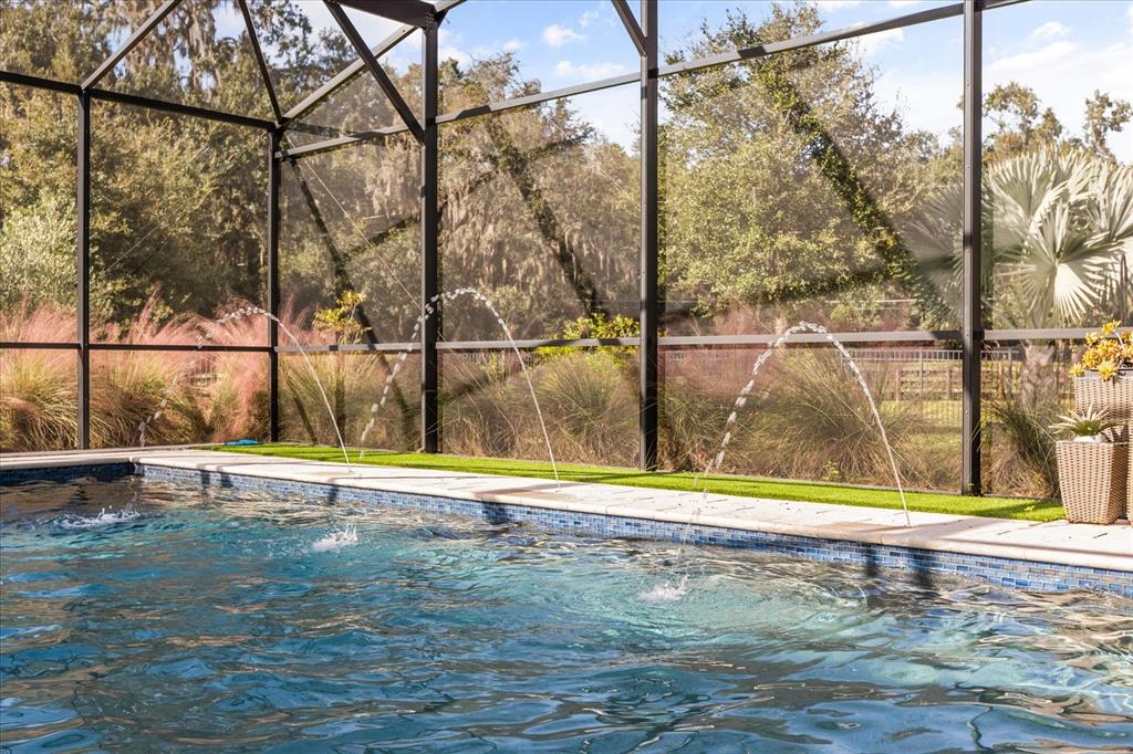 639 Primrose Willow Way Apopka, FL 32712 - Photo 50 of 70 a view of swimming pool with a yard