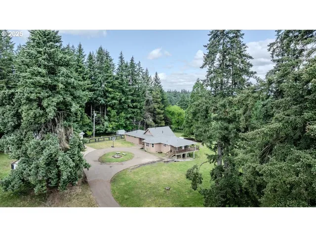 a open area with trees in the background