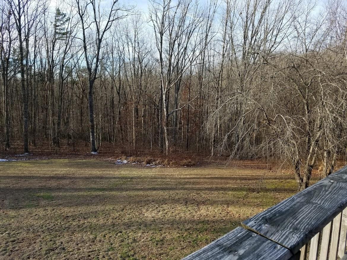 4336 Round Mountain Road Jamestown, TN 38556 - Photo 13 of 37 Gallery Image 13
