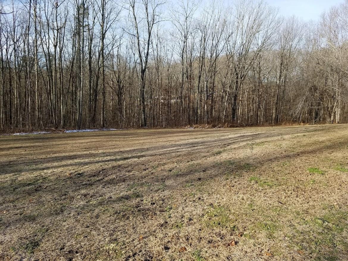 4336 Round Mountain Road Jamestown, TN 38556 - Photo 30 of 37 Gallery Image 30