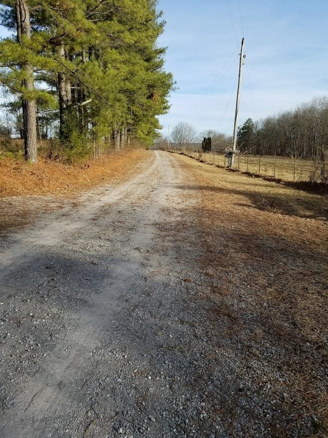 4336 Round Mountain Road Jamestown, TN 38556 - Photo 35 of 37 Gallery Image 35