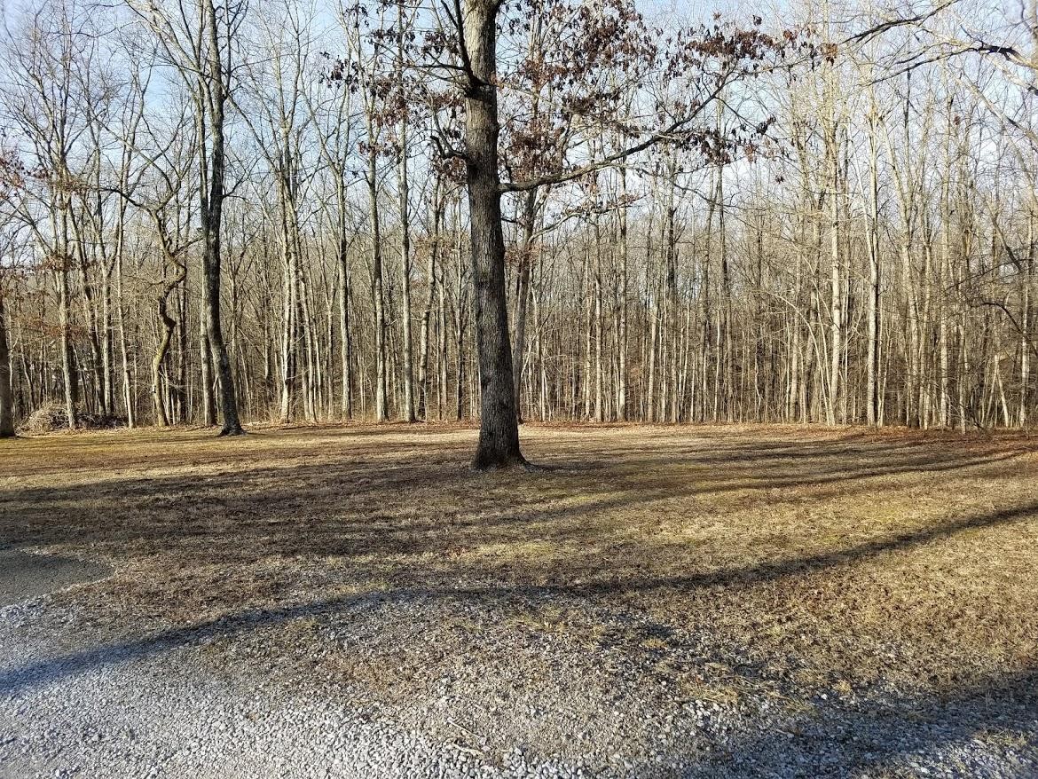 4336 Round Mountain Road Jamestown, TN 38556 - Photo 36 of 37 Gallery Image 36