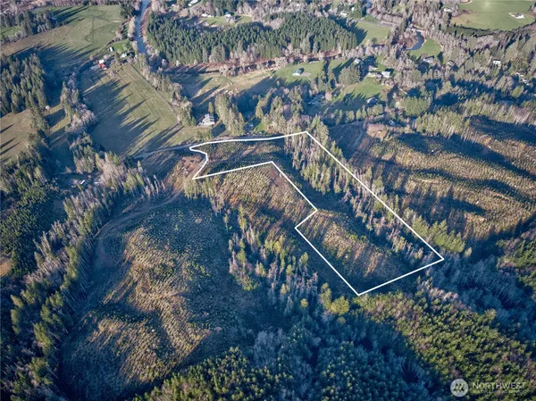 a view of a forest with a mountain