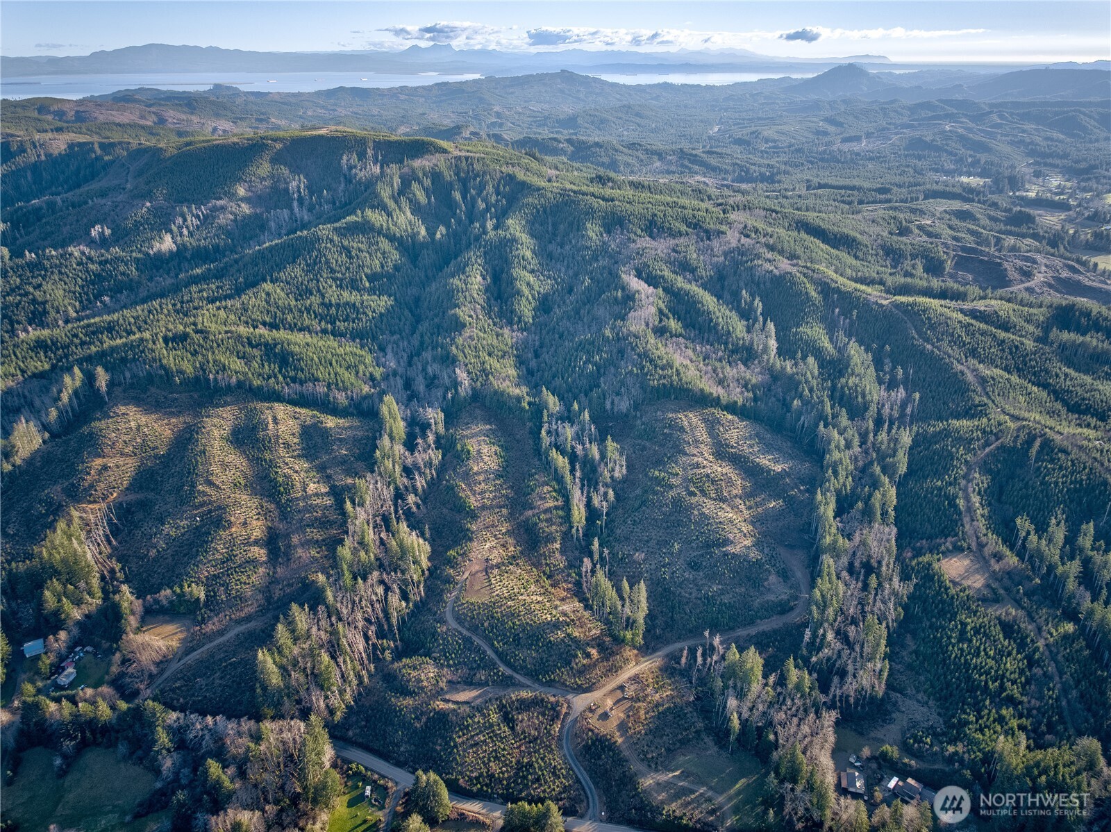 3 South Valley Road Naselle, WA 98638 - Photo 17 of 19 a view of a forest with a mountain