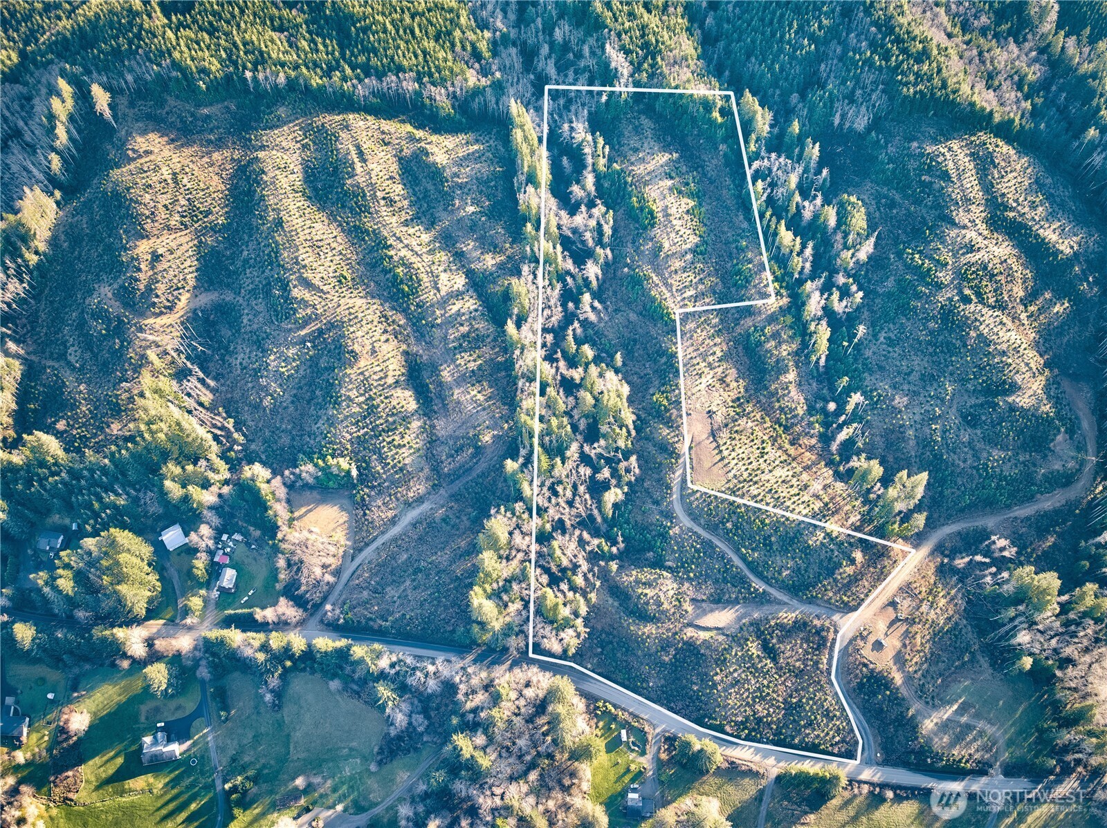 3 South Valley Road Naselle, WA 98638 - Photo 4 of 19