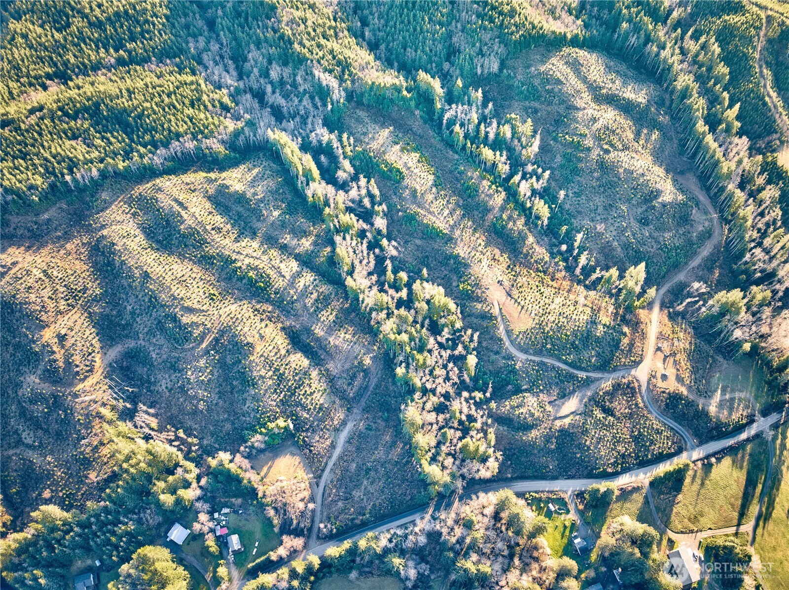 3 South Valley Road Naselle, WA 98638 - Photo 5 of 19 a view of tree