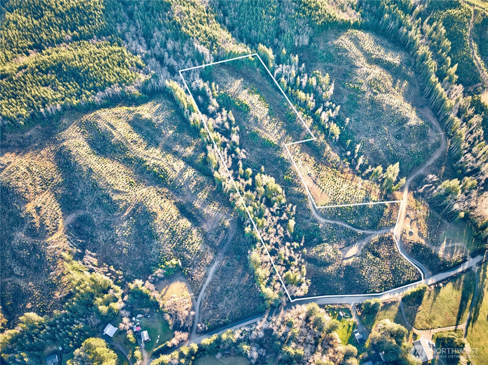 3 South Valley Road Naselle, WA 98638 - Photo 6 of 19 a view of tree