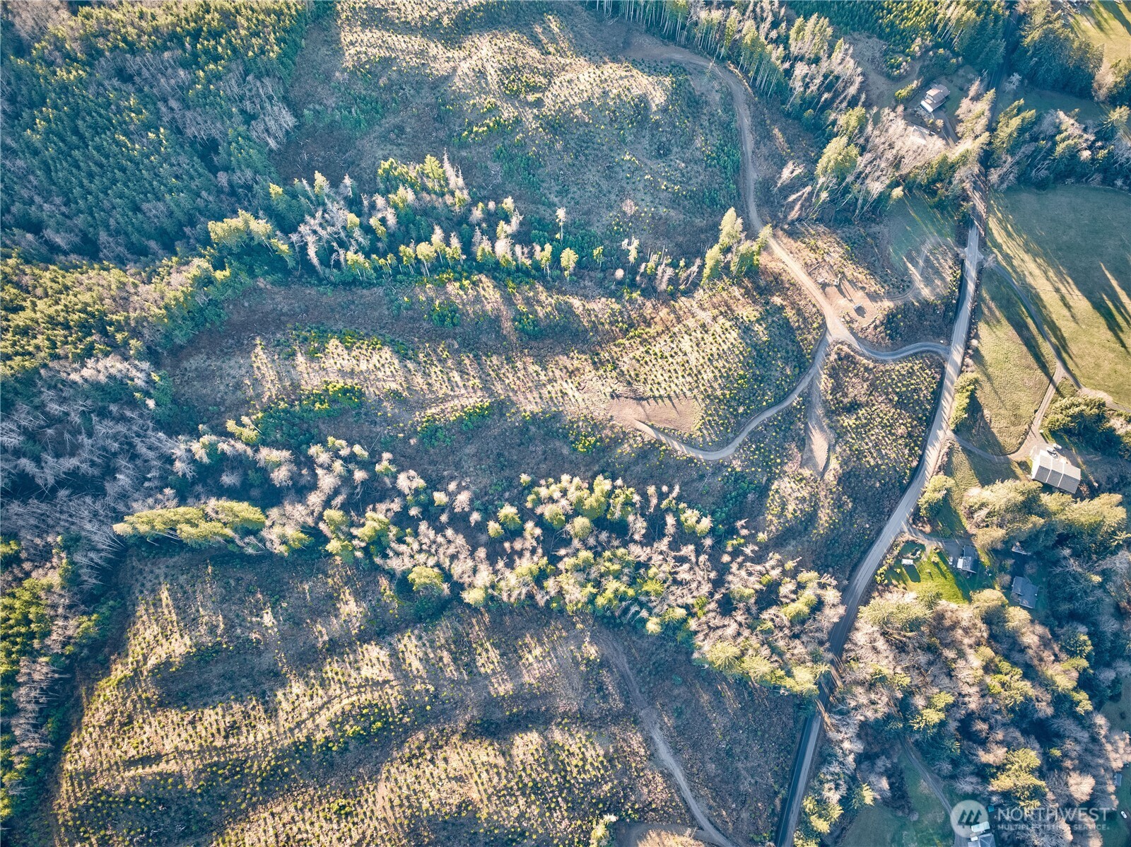 3 South Valley Road Naselle, WA 98638 - Photo 7 of 19 a view of a tree with a flower