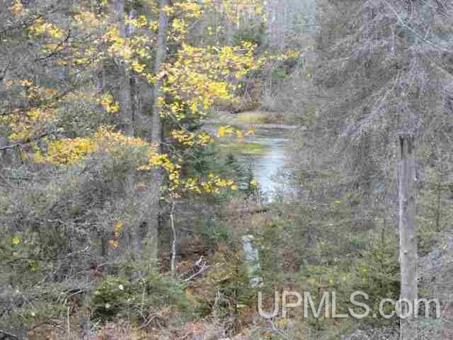 M69 Rd Crystal Falls Crystal Falls, MI 49920 - Photo 6 of 21