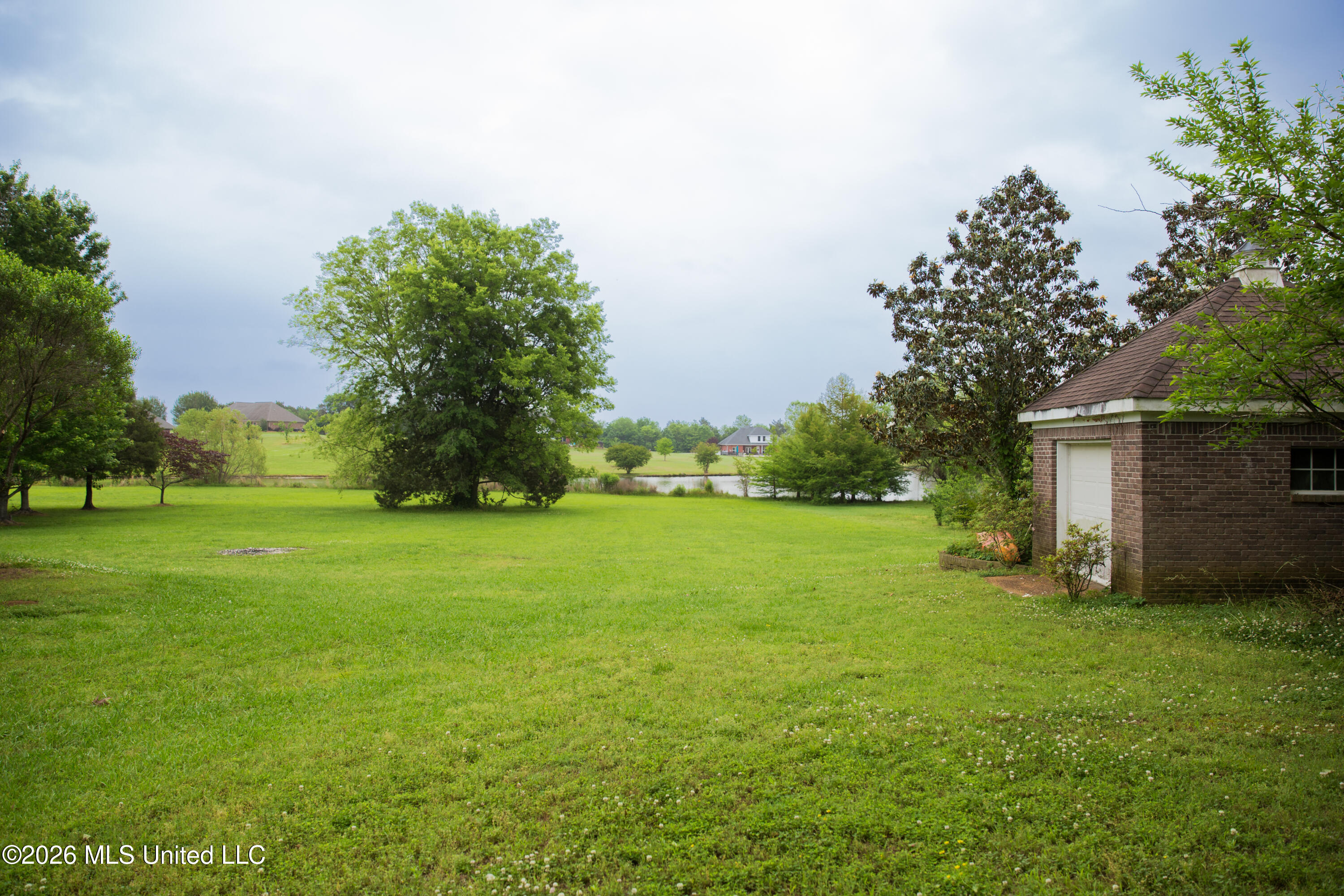 1103 Steele Road Starkville, MS 39759 - Photo 26 of 28 02 Backyard B