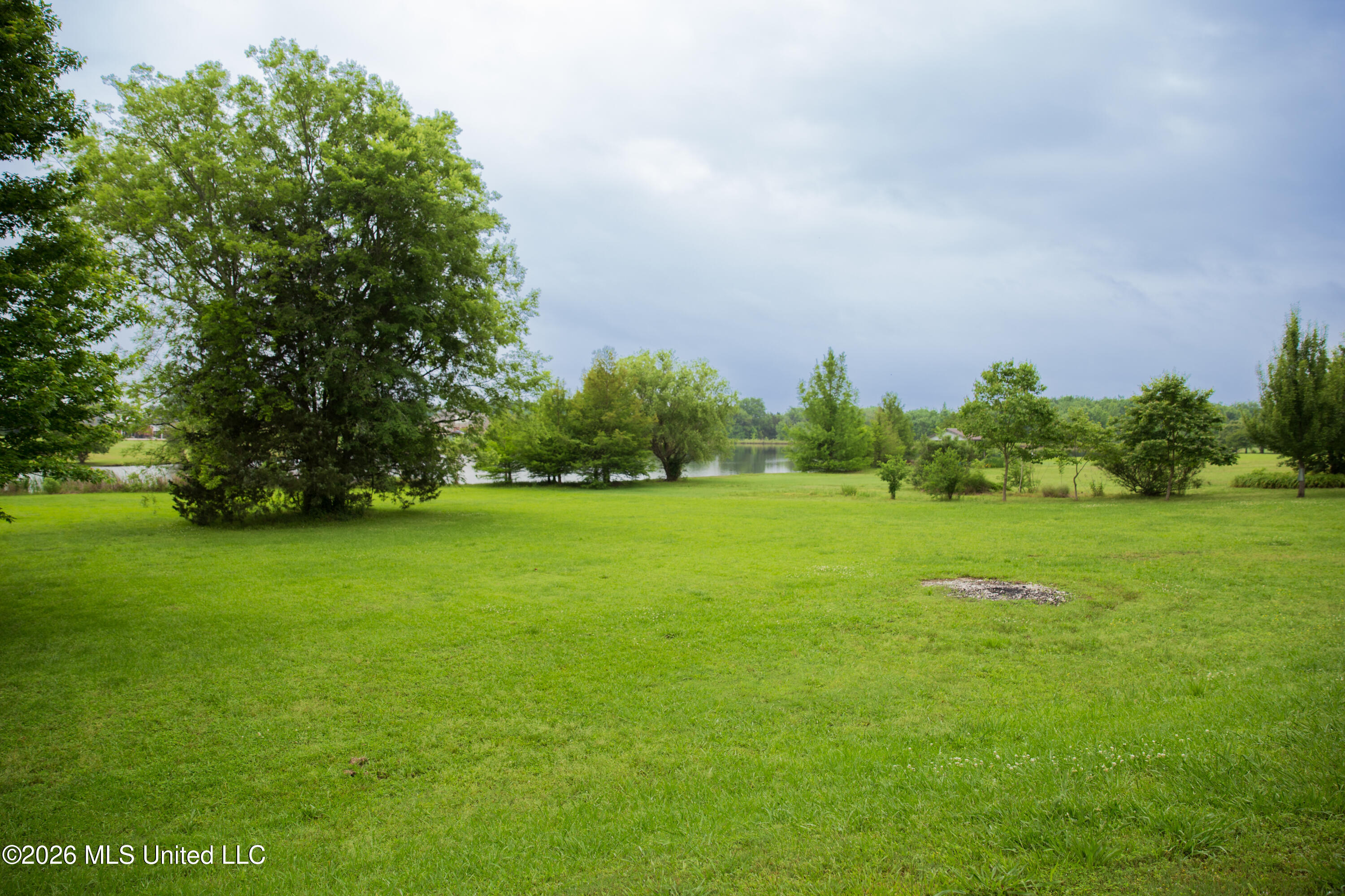 1103 Steele Road Starkville, MS 39759 - Photo 27 of 28 02 Backyard A