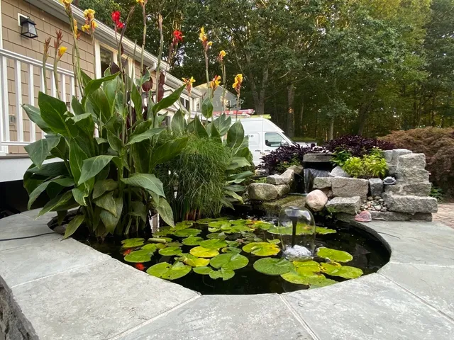 a view of a backyard with plants