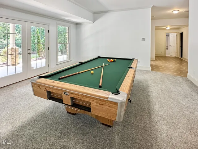 a view of a forest with trees in the background