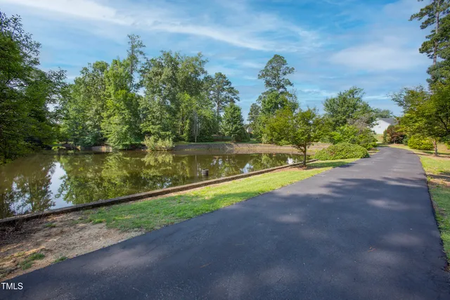 a view of a yard with plants and large trees