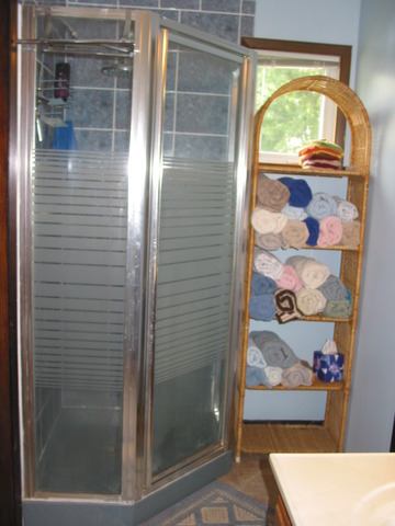 64 Eastfield Road Montgomery, IL 60538 - Photo 19 of 22 a bathroom with a glass shower door