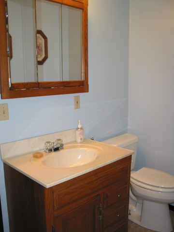 64 Eastfield Road Montgomery, IL 60538 - Photo 20 of 22 a bathroom with a sink a vanity and a toilet