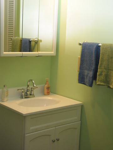 64 Eastfield Road Montgomery, IL 60538 - Photo 22 of 22 a bathroom with a sink and a mirror