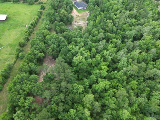 a view of a forest with a houses