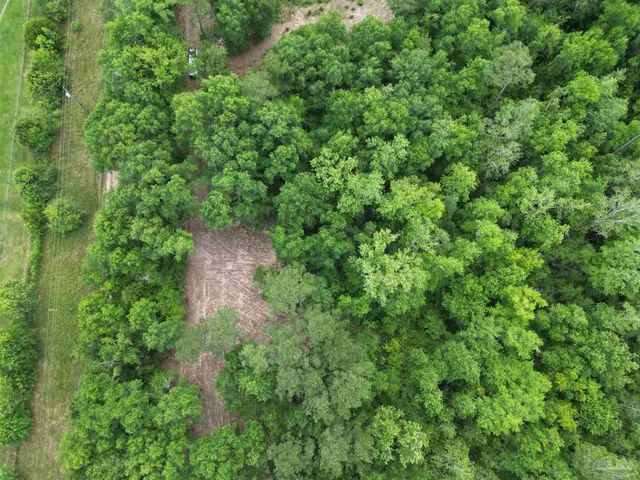 an aerial view of residential house with outdoor space and trees all around