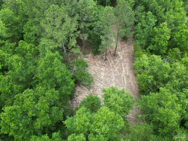 an aerial view of residential house with outdoor space and trees all around