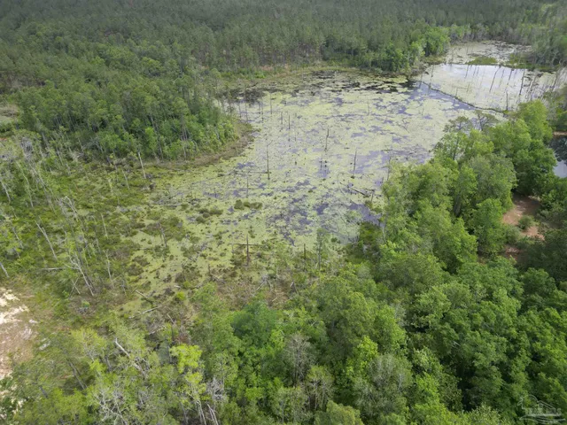 a view of a dry yard with trees