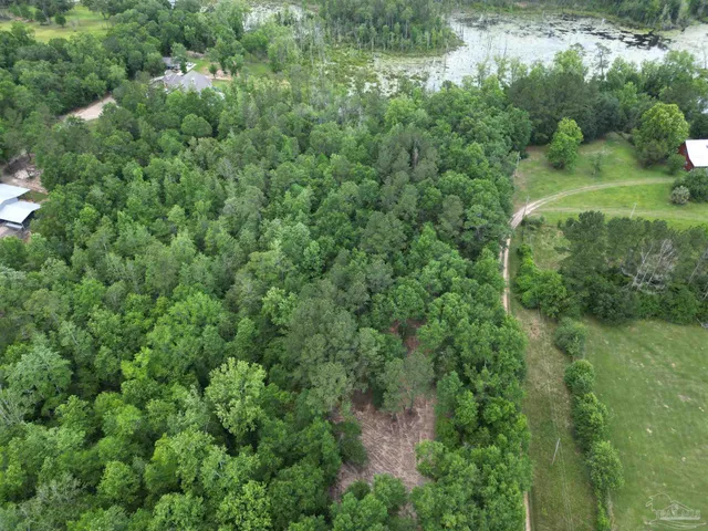 an aerial view of residential house with outdoor space and trees all around