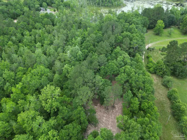 an aerial view of residential house with outdoor space and trees all around