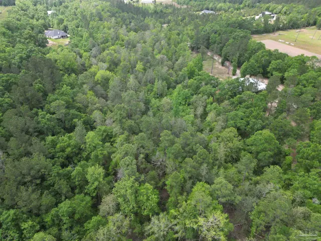 an aerial view of residential house with outdoor space and trees all around