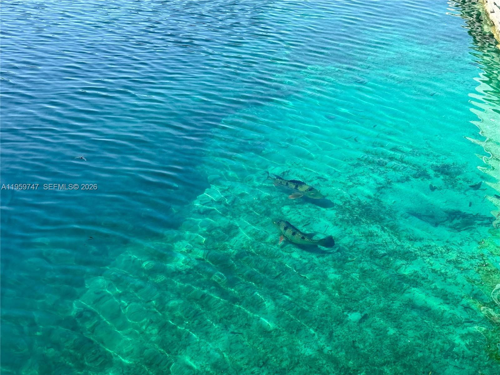 7002 Holly Road Miami Lakes, FL 33014 - Photo 24 of 36