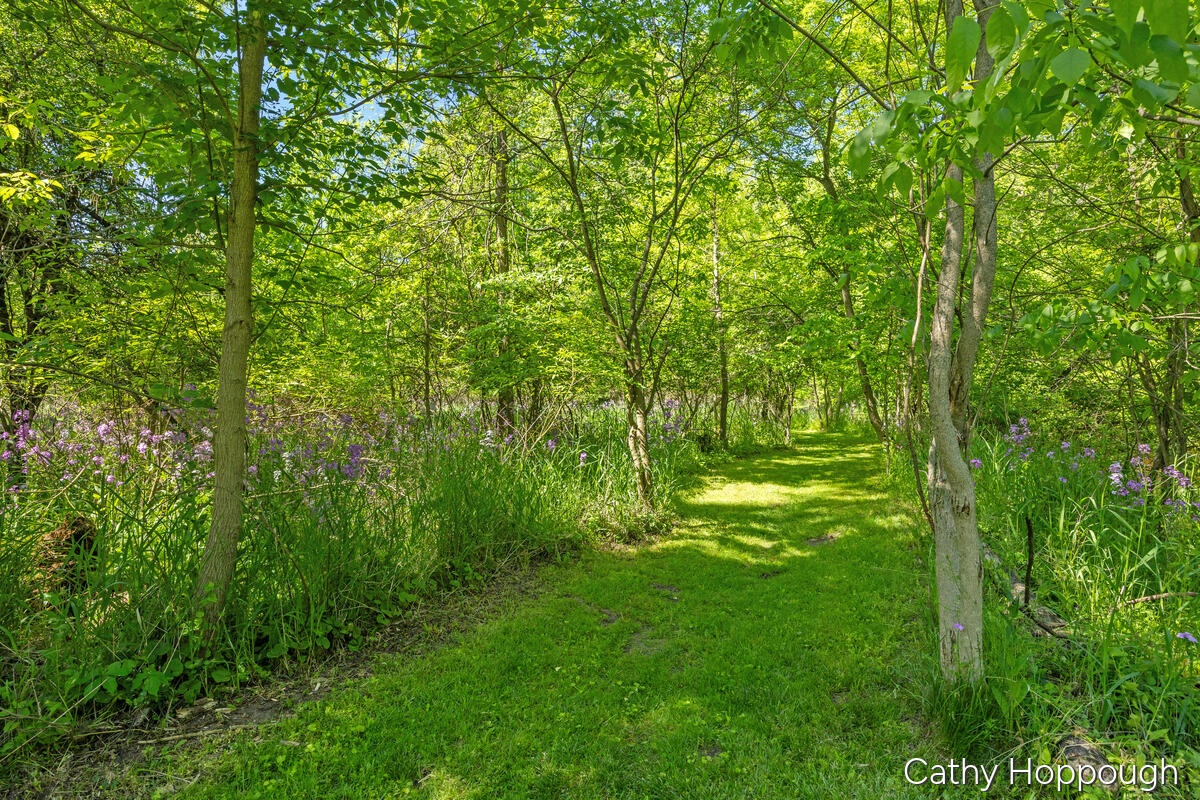 470 Caroline Street Ionia, MI 48846 - Photo 54 of 69 470-Caroline_054