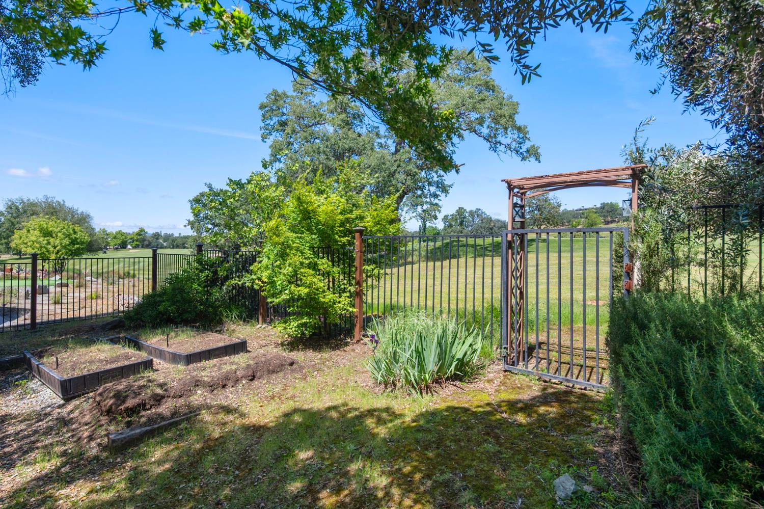 701 Selkirk Ranch Road Angels Camp, CA 95222 - Photo 49 of 67