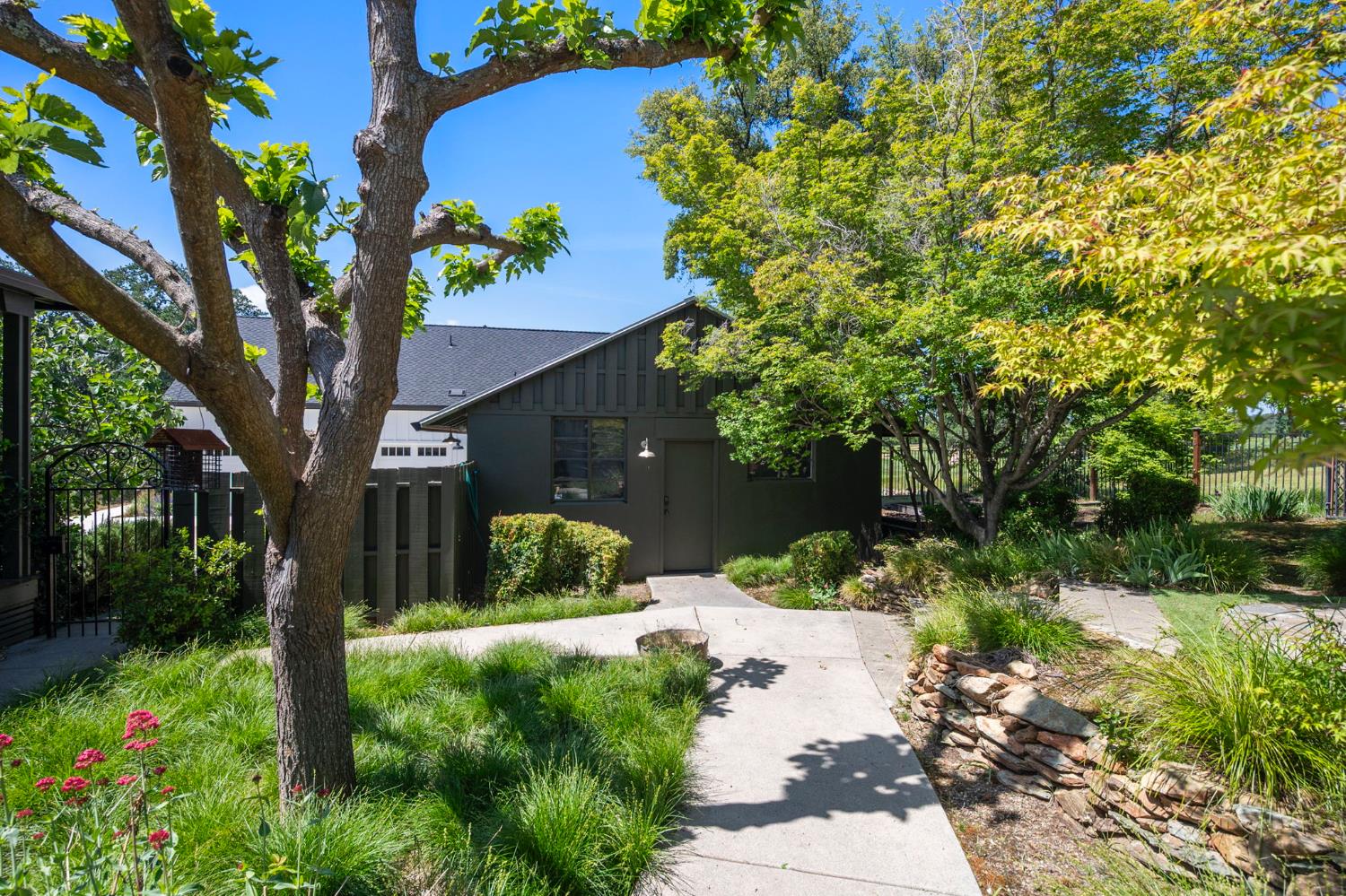 701 Selkirk Ranch Road Angels Camp, CA 95222 - Photo 56 of 67