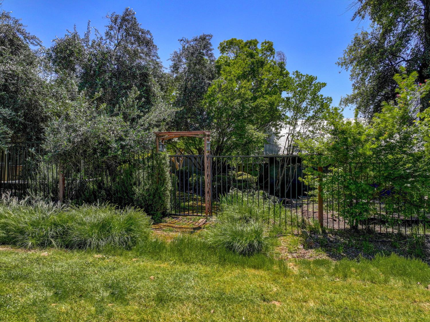 701 Selkirk Ranch Road Angels Camp, CA 95222 - Photo 67 of 67