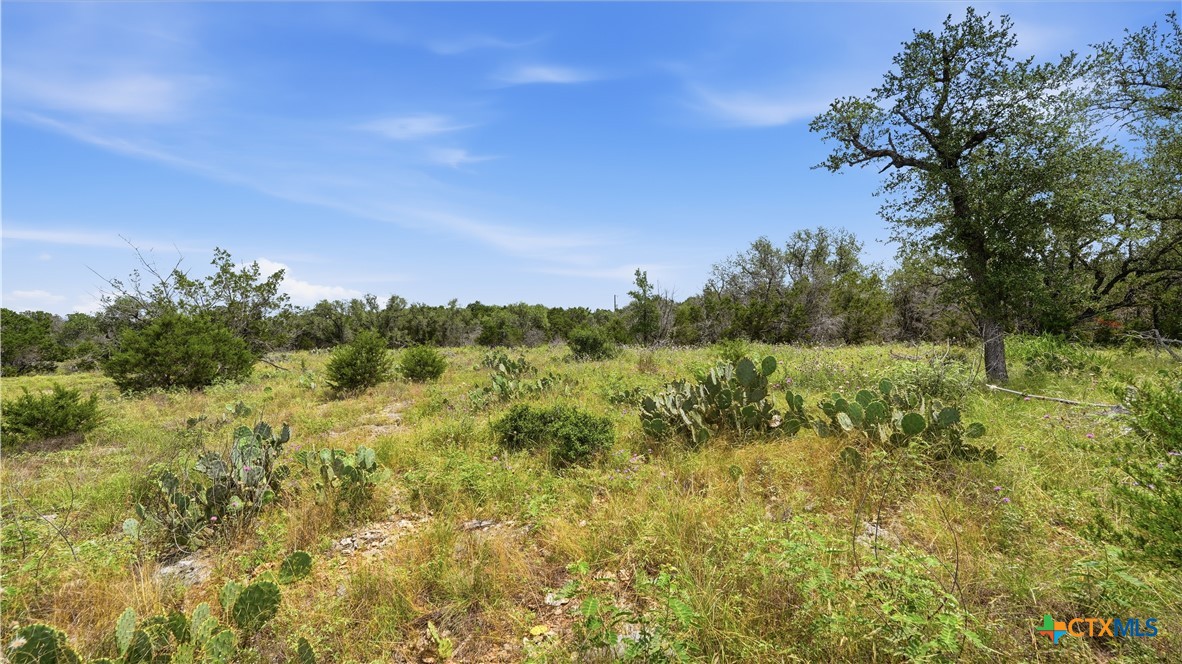 847 Hilltop Ridge New Braunfels, TX 78132 - Photo 30 of 47