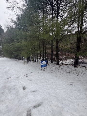 0 Dug Hill Road Holland, MA 01521 - Photo 1 of 1