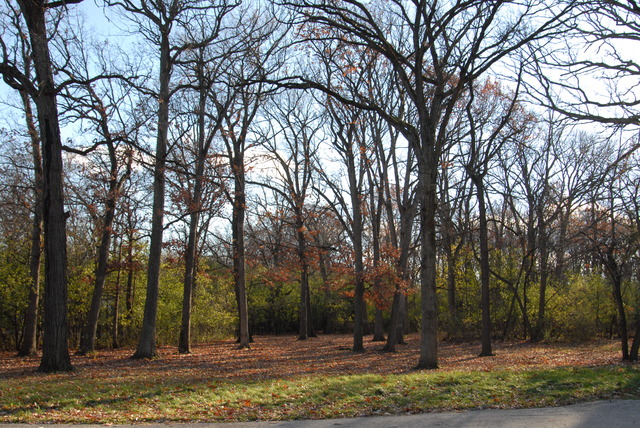 3520 Spring Road Oak Brook, IL 60523 - Photo 1 of 1 a view of a park with trees