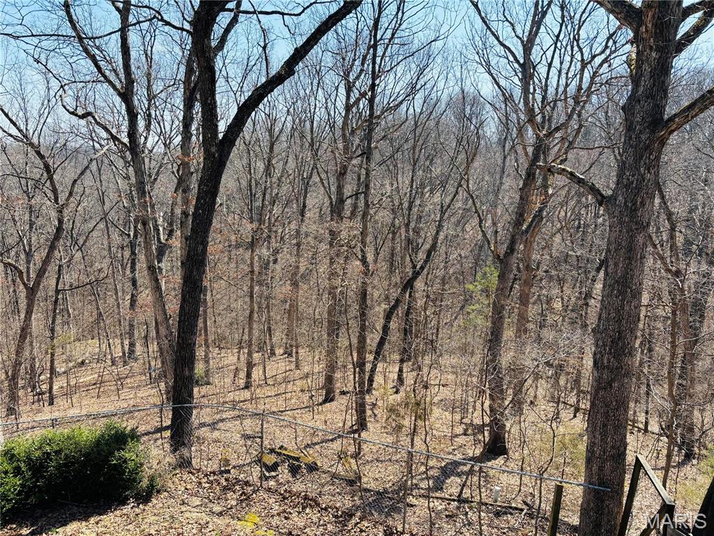 8070 Timber Trail Barnhart, MO 63012 - Photo 44 of 45