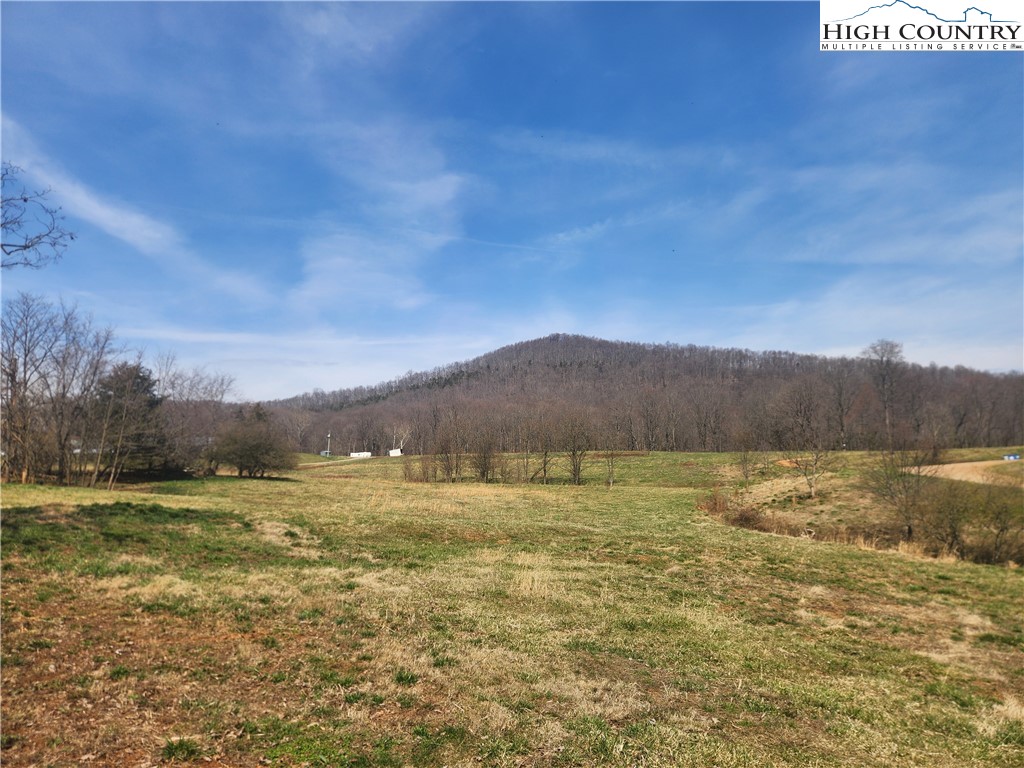 363 Center Church Road Hiddenite, NC 28636 - Photo 30 of 49